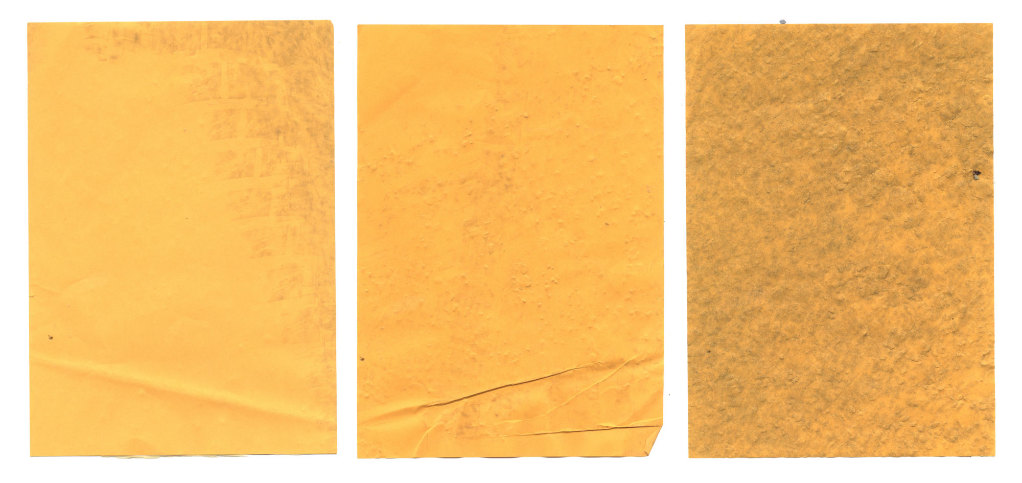 Measuring your Dog with a Sighthound Collar