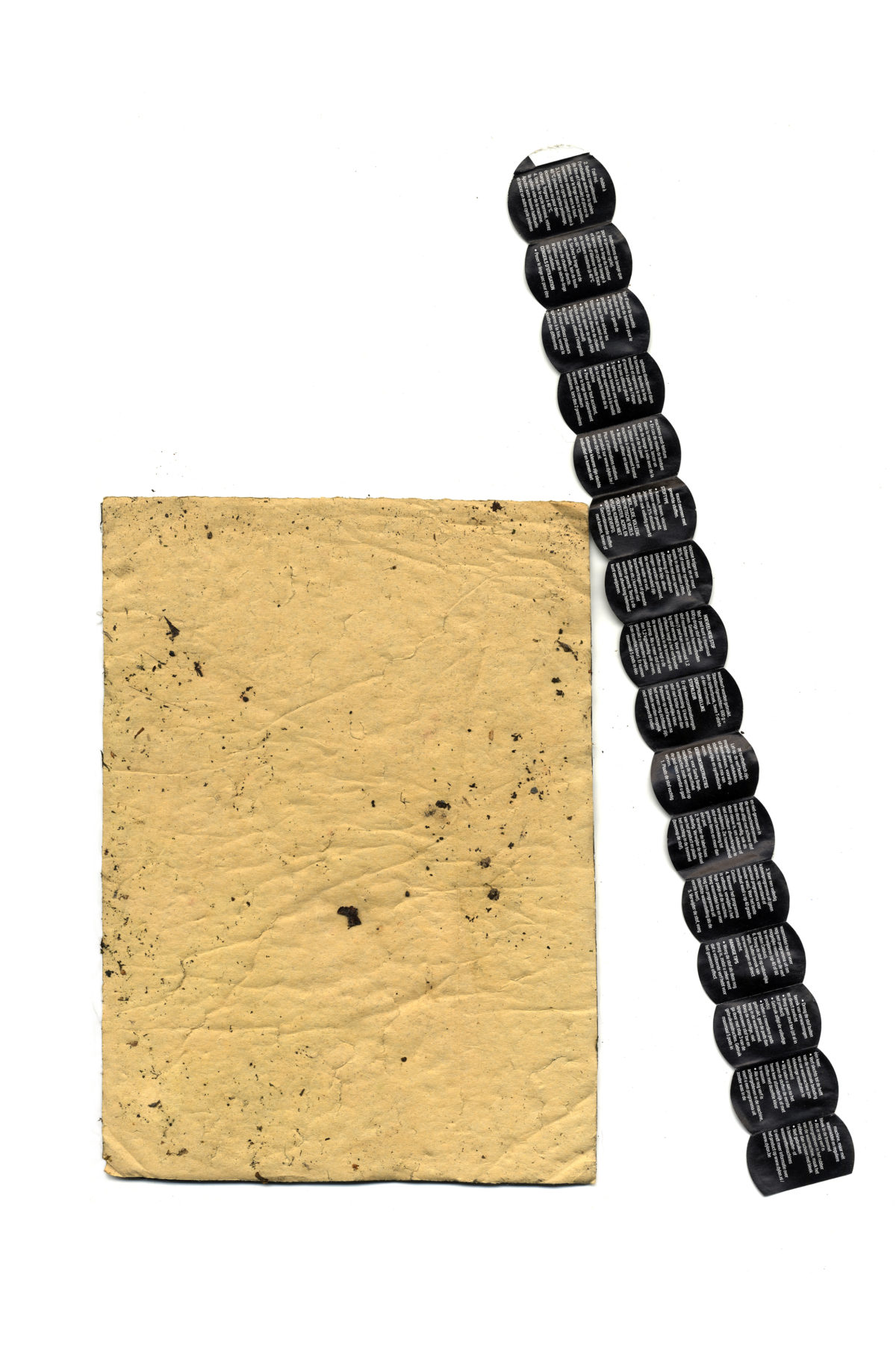 Dial on tan